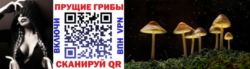 Галлюциногенные грибы Magic Shrooms  Купить закладки  Балабаново 